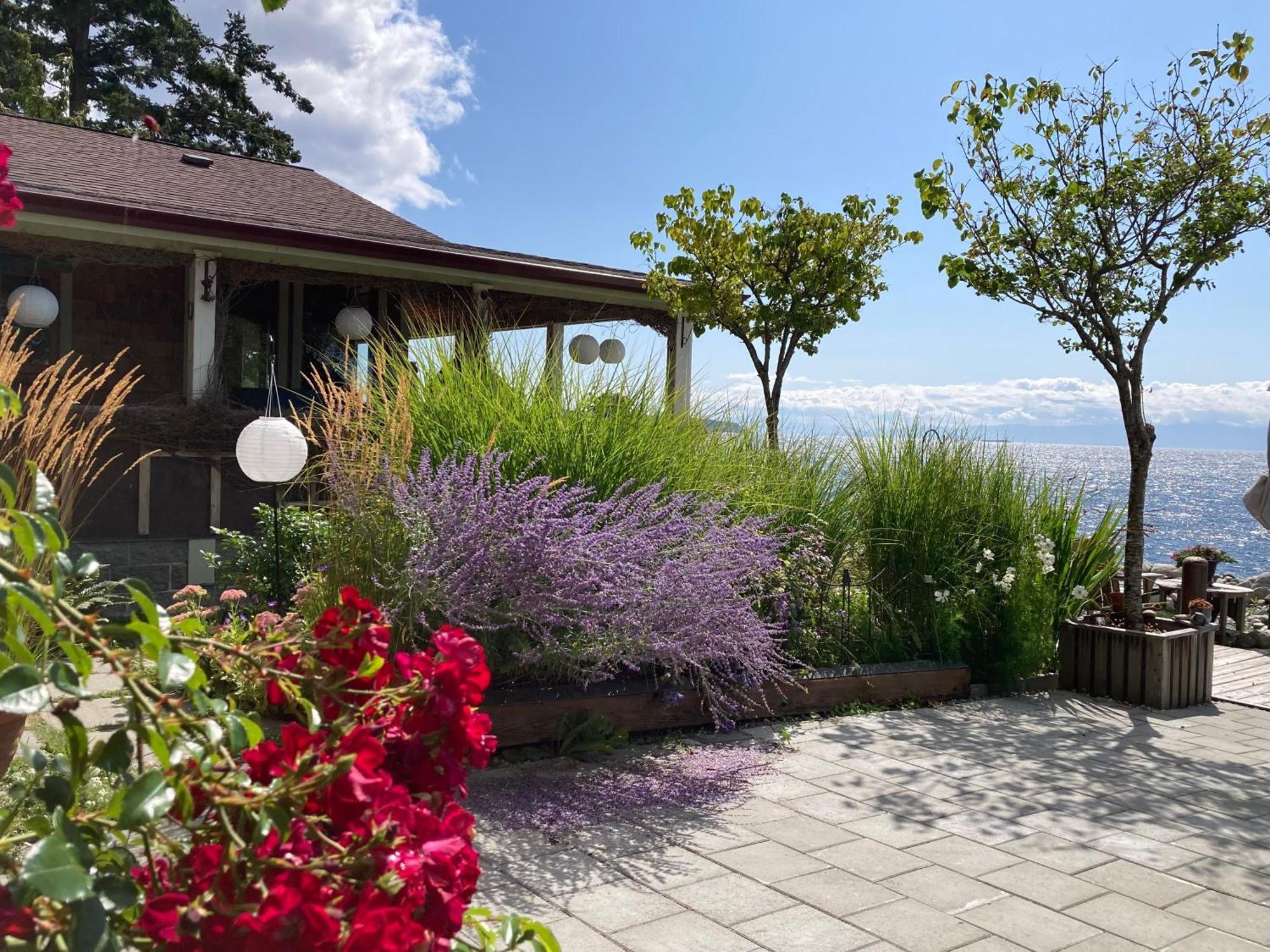 Blitz Beach House Oceanside Suite Powell River Luaran gambar